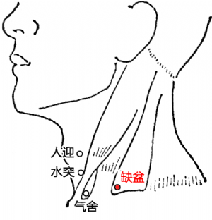 缺盆_英文_拼音_缺盆穴的位置,功效与作用,主治,刺灸法_医学百科