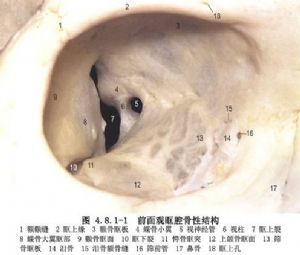 经颅视神经管狭窄减压术