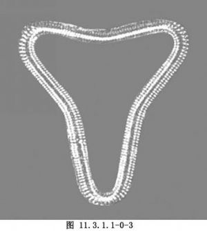 宫内避孕器放置术 词条正文不锈钢节育环:亦称金属单环(图11.3.1.